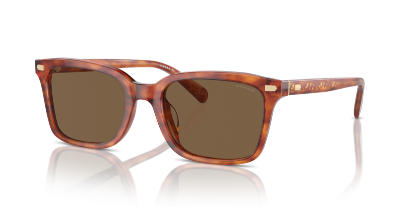 Coach HC8398U Cr630 Sunglasses