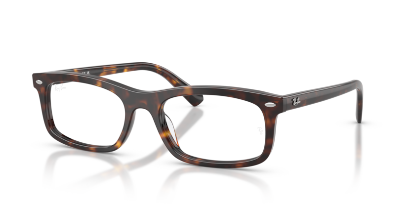 Ray-Ban Vista RX5450  Eyeglasses