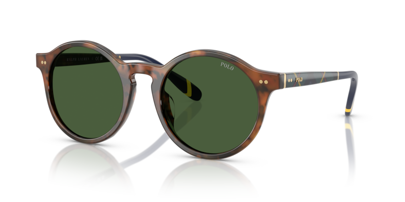 Polo PH4204U  Sunglasses