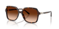 Swarovski SK6067  Sunglasses