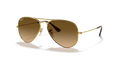 Ray-Ban RB3025 Aviator Sunglasses