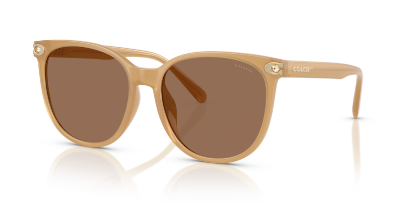 Coach HC8414BD Cw428 Sunglasses