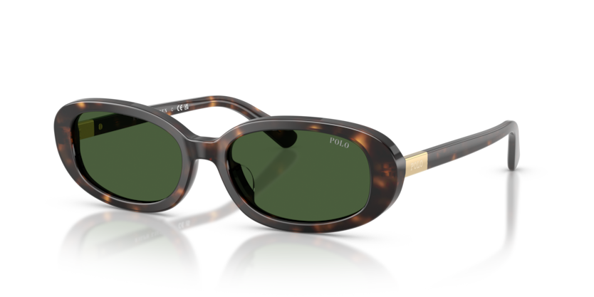 Polo PH4198U  Sunglasses