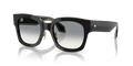 Giorgio Armani AR8223  Sunglasses