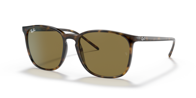 Ray-Ban RB4387  Sunglasses
