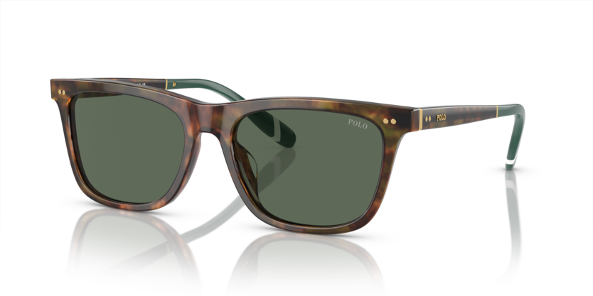 Polo PH4205U  Sunglasses