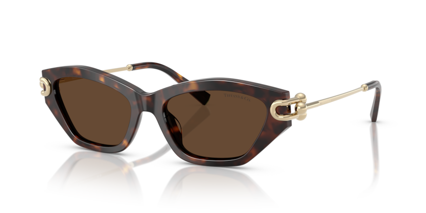 Tiffany TF4231U  Sunglasses