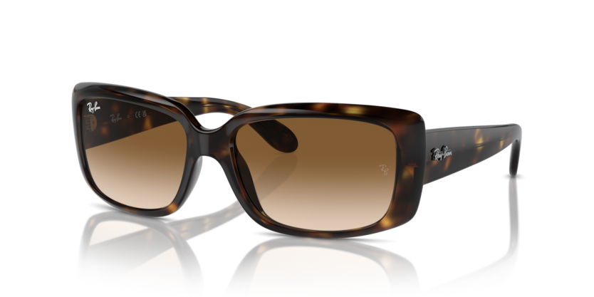 Ray-Ban RB4389  Sunglasses