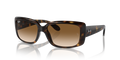Ray-Ban RB4389  Sunglasses
