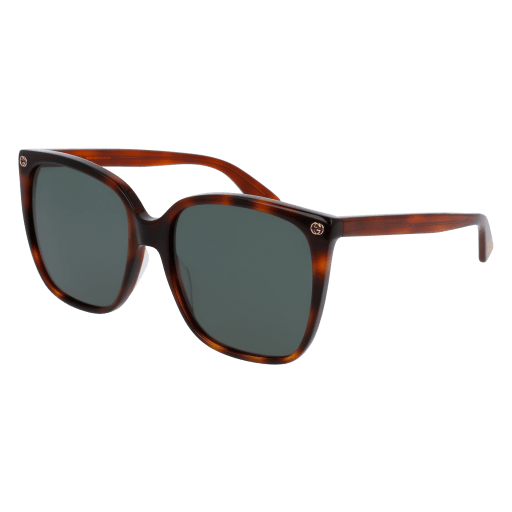 Gucci GG0022S Sunglasses