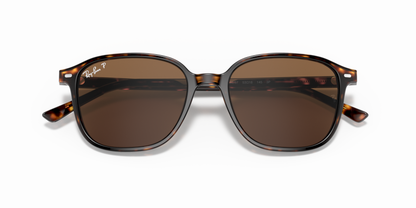 Ray-Ban RB2193 Leonard Sunglasses