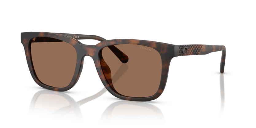 Coach HC8426U Cad81 Sunglasses