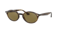 Ray-Ban RB4315  Sunglasses