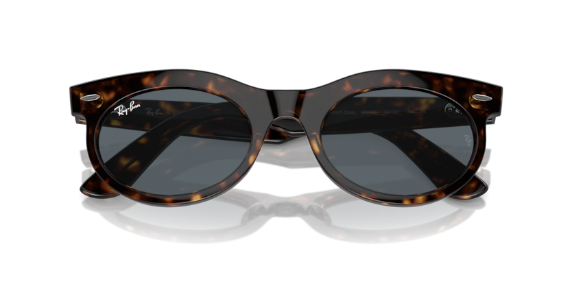 Ray-Ban RB2242 Wayfarer Oval Sunglasses