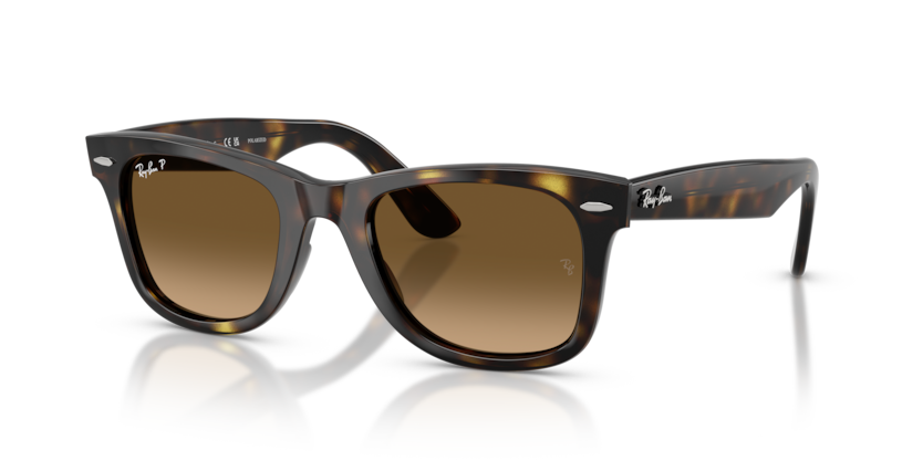 Ray-Ban RB4340 Wayfarer Ease Sunglasses