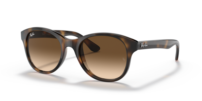 Ray-Ban RB4203  Sunglasses