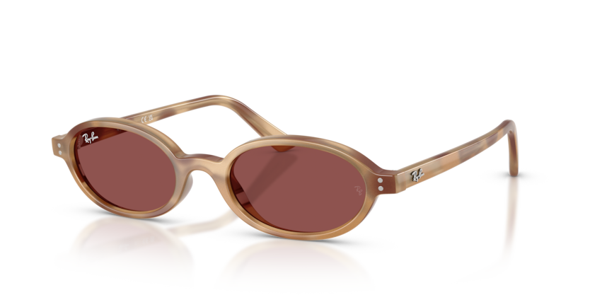 Ray-Ban RB4472  Sunglasses
