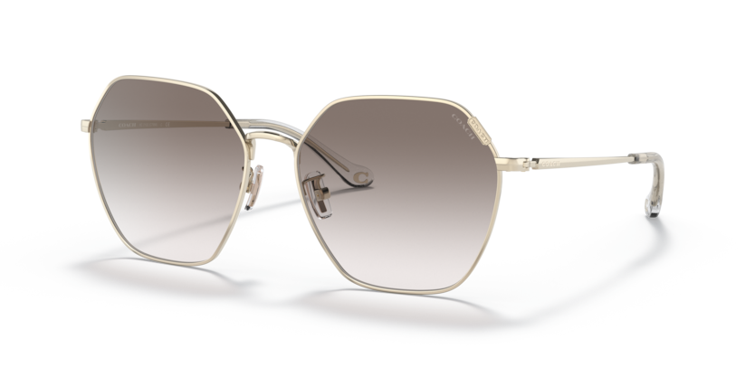 Coach HC7132 C7998 Sunglasses