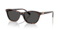 Swarovski SK6070  Sunglasses