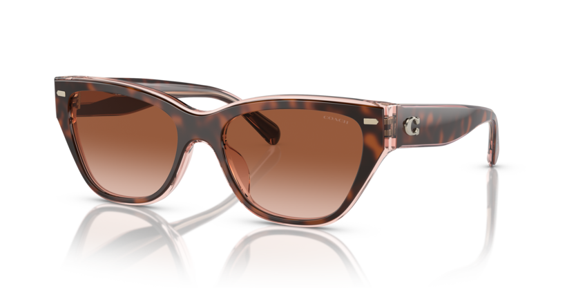 Coach HC8370F Ch660 Sunglasses