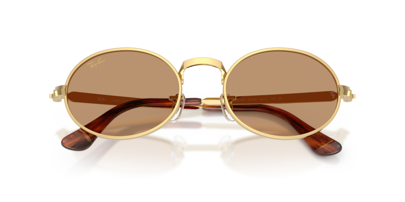 Ray-Ban RB3931  Sunglasses