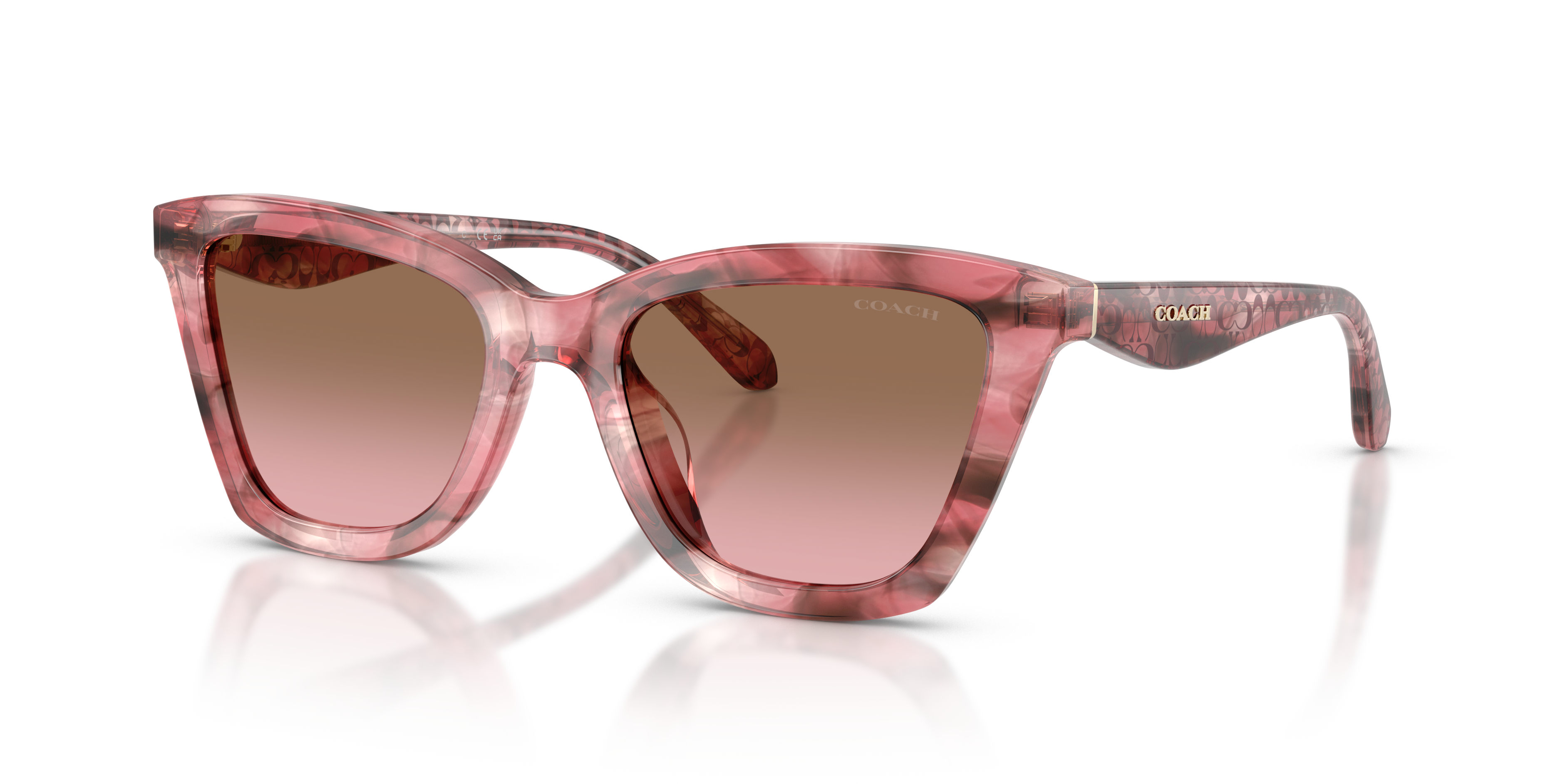 Coach HC8464U Cfu10 Sunglasses