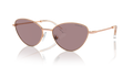 Swarovski SK7014  Sunglasses