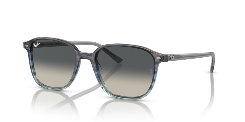 Ray-Ban RB2193 Leonard Sunglasses