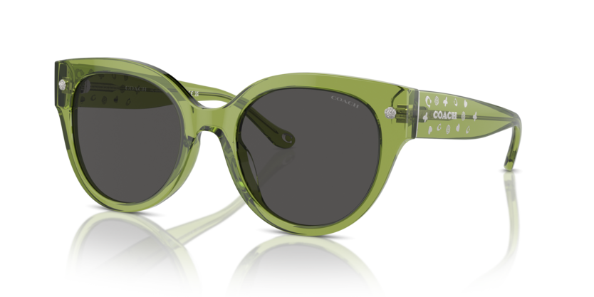 Coach HC8393U Cr612 Sunglasses
