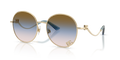 Dolce & Gabbana DG2324  Sunglasses