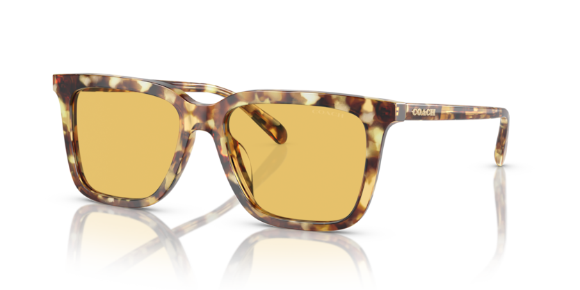 Coach HC8385U Cl910 Sunglasses