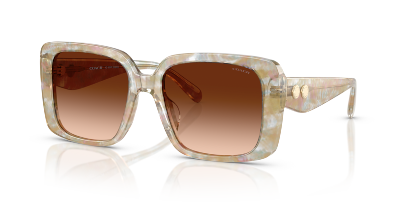 Coach HC8424F Cad55 Sunglasses