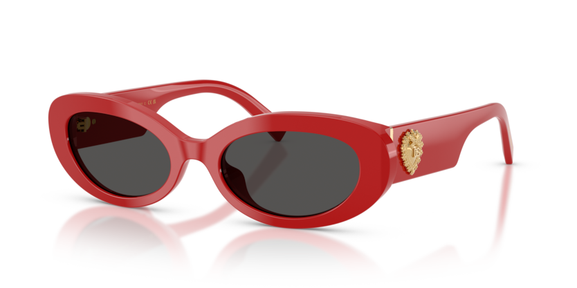 Dolce & Gabbana DG4537  Sunglasses