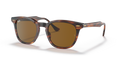 Ray-Ban RB2298 Hawkeye Sunglasses