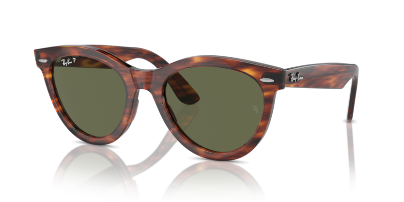 Ray-Ban RB2241 Wayfarer Way Sunglasses