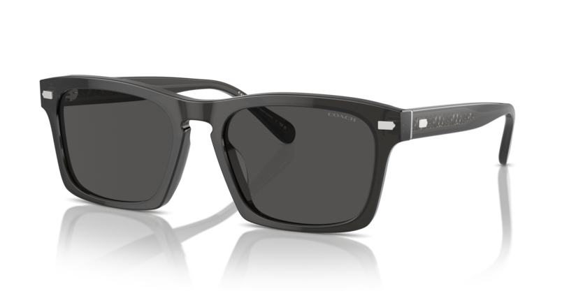 Coach HC8397U Cr628 Sunglasses