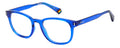 Polaroid PLD D453 Eyeglasses