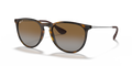 Ray-Ban RB4171 Erika Sunglasses