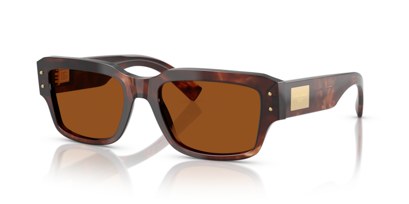 Dolce & Gabbana DG4483  Sunglasses
