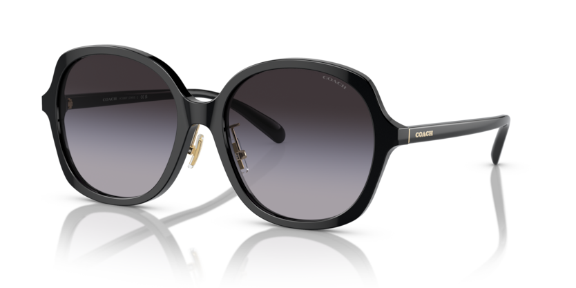 Coach HC8360F Ch610 Sunglasses