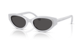 Swarovski SK6030  Sunglasses