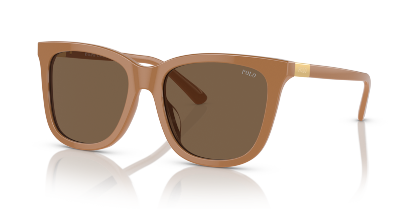 Polo PH4201U  Sunglasses