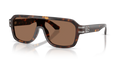Dolce & Gabbana DG4507  Sunglasses
