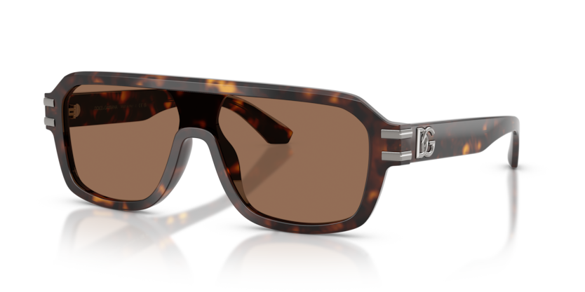 Dolce & Gabbana DG4507  Sunglasses