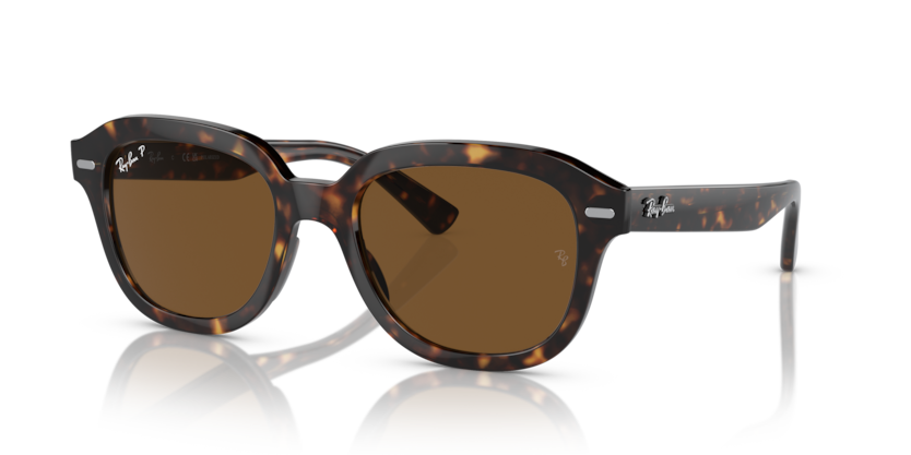 Ray-Ban RB4398 Erik Sunglasses