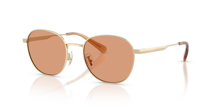 Coach HC7191 Cdp36 Sunglasses
