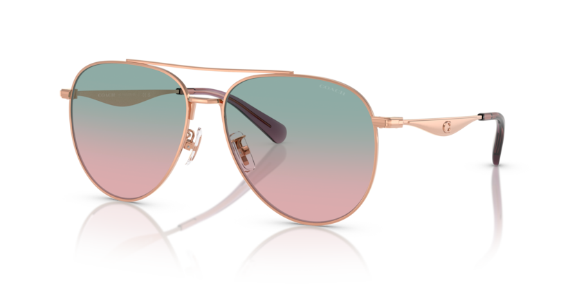 Coach HC7169 Cw193 Sunglasses