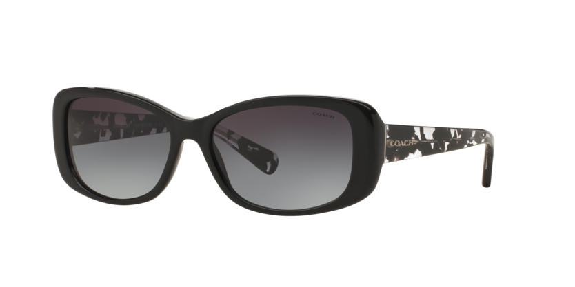 Coach HC8168 L156 Sunglasses