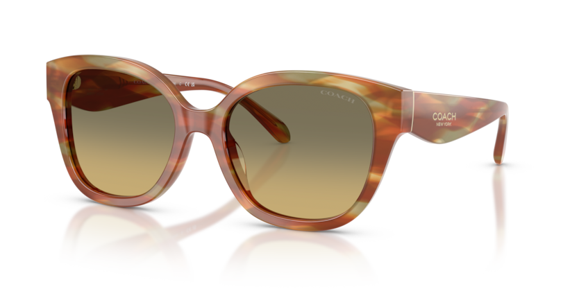 Coach HC8438U Cby94 Sunglasses