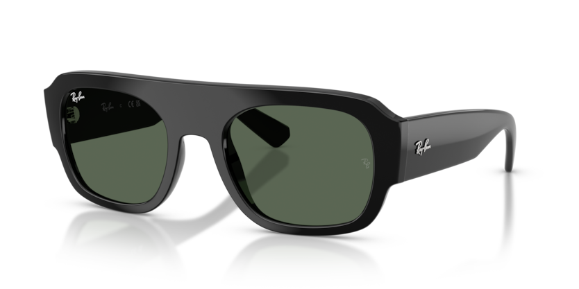 Ray-Ban RB2218  Sunglasses